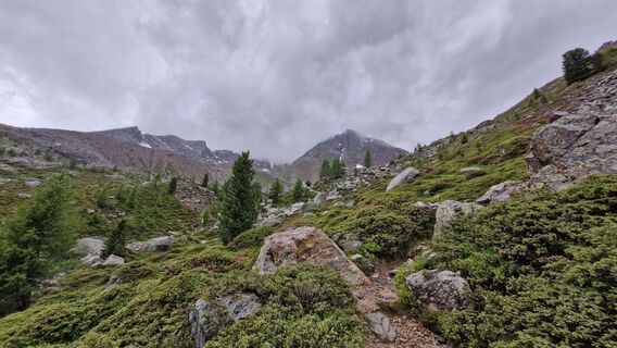 Fotografija s spletne strani Sebastian na poti