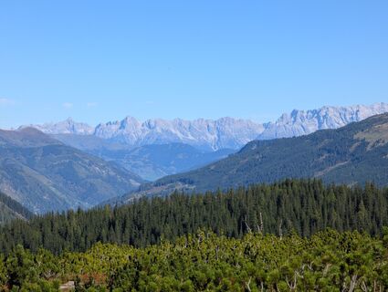 Fotografija s spletne strani Phil na poti