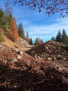 Fotografija s spletne strani Dagmar Hofer na poti