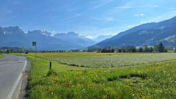 Photo de Matej Mikus 1 le long du parcours
