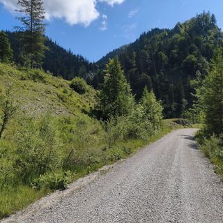 Foto von Ekorre entlang der Tour