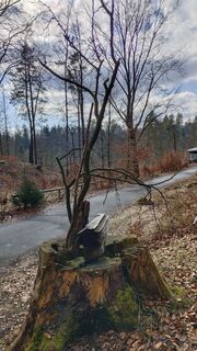 Photo de Jara D. le long du parcours