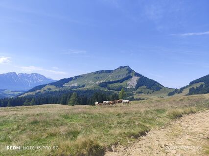 Foto da Matthias G. 1 lungo il tour