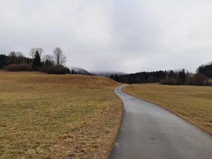 Fotó a Mela honlapról a túra során