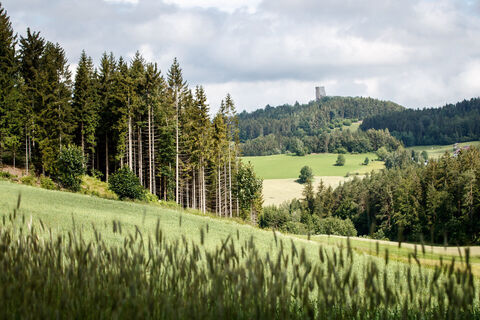 Ruine Arbesbach