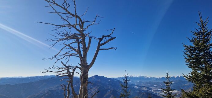 Foto von Peter Mandl entlang der Tour