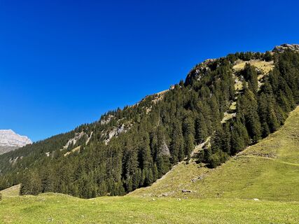 Fotografija s spletne strani F A 4 na poti