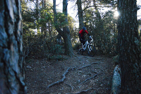 LIAISON ENDURO 4
