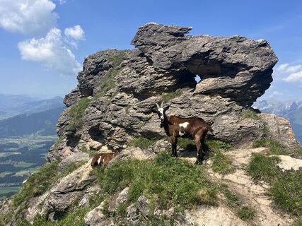 Foto von Thilo Moser entlang der Tour