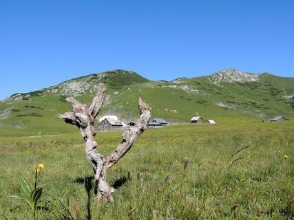 Michlbauerhütte auf der Schneealm