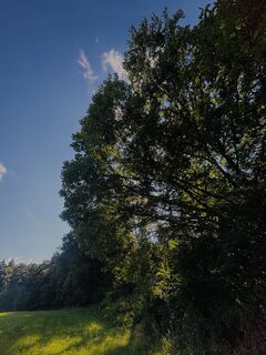 Fotografia z RS76 na trase