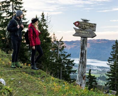 Zabreška planina Alm