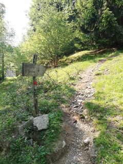 bivio Berne#apice#
