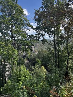 Photo de Tino Falk le long du parcours