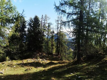 Photo de Ingolf Linkenheil le long du parcours