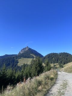 Fotografija s spletne strani Bene Schadel na poti