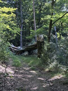 Fotografie z Momo na trase