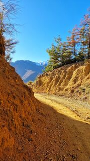 Foto de Fabrizi Mellano a lo largo del recorrido