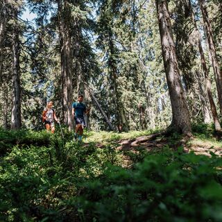 Saalachtaler Höhenweg Ost