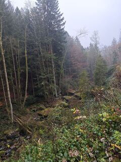 Foto de Christoph Schiel a lo largo del recorrido