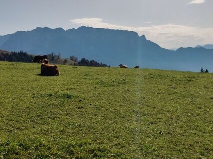 Fotografie z Andreas Schöwe na trase
