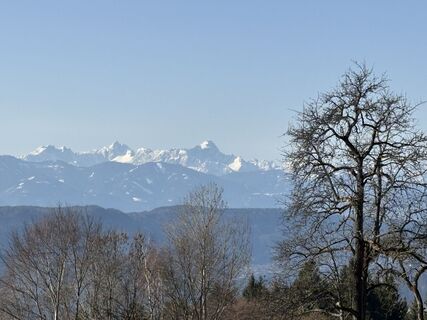 Foto de Meszaros Marianna a lo largo del recorrido