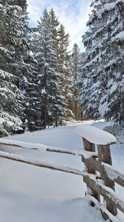 Photo from Veronica Thoeni along the tour