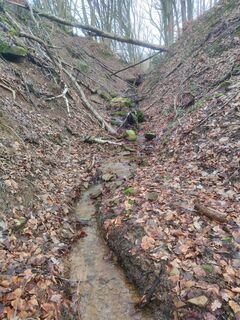 Wiese bei Klingenklamm in Blickweiler