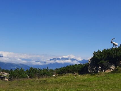 Photo de Marco Sandfort-Wessels le long du parcours