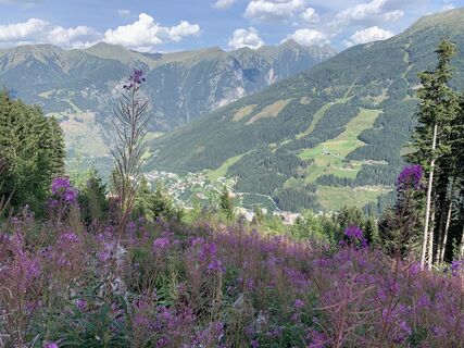 Photo de Koen De Wit le long du parcours