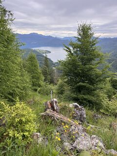 Photo de tobilan le long du parcours