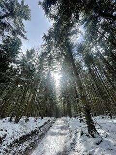 Foto von Felicitas von Daake entlang der Tour