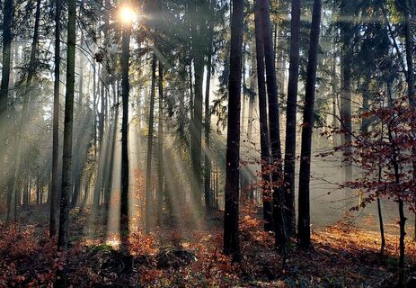 Fotografija s spletne strani zirberl na poti