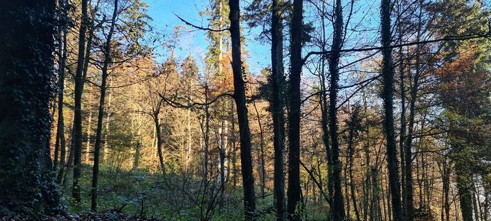Foto von Bettina Brudermann entlang der Tour