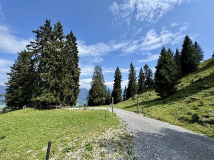 Foto de Andreas Gryschka a lo largo del recorrido