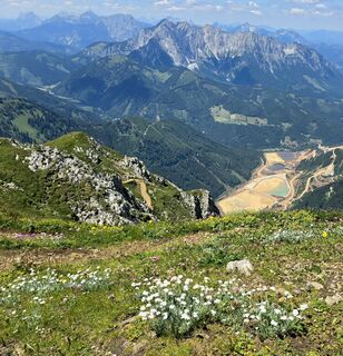 Foto von Veronika Strauss entlang der Tour