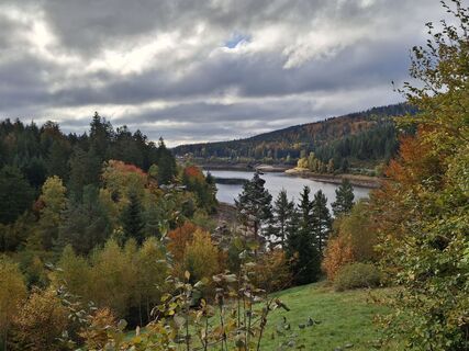 Fotografia z Christian Krebs na trase