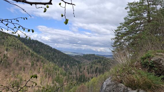 Foto de Vladimira Oleksikova a lo largo del recorrido