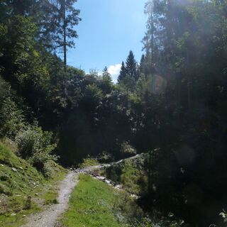 Der Pfad führt oft durch Wald.