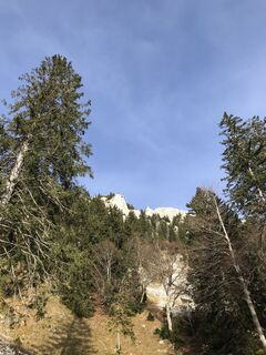 Foto från Daniel Reichsthaler under resans gång