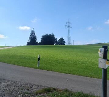Aus dem Bannwald Richtung Niebers