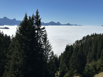 Photo from Stefan Wallner 5 along the tour
