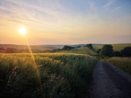Sonnenuntergang bei Bosseborn