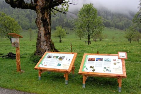 20100601_engalm_themenweg_stationen_h.sonntag_31.jpg