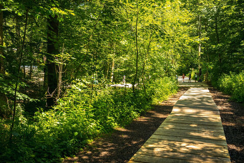 Remsursprung bei Essingen