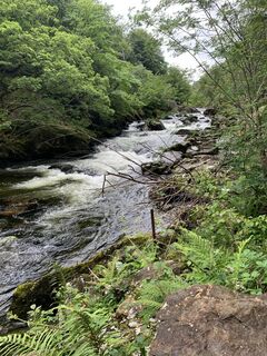 Fotografie z Michael Kogler na trase