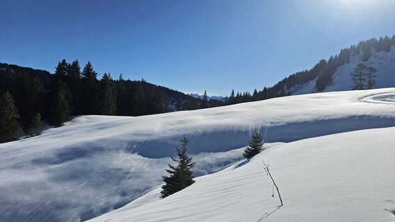 Foto von Marlyse Leu entlang der Tour