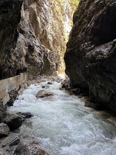 Fotografija s spletne strani Alain na poti