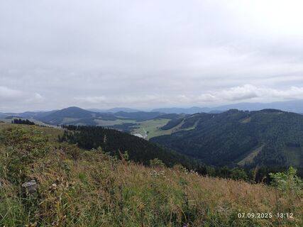 Photo from Barbara Galle along the tour