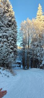 Foto von Nicky entlang der Tour